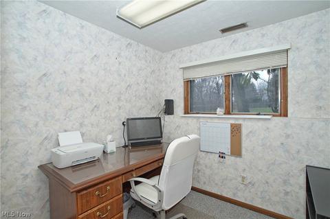 2880 Narrows Rd, Perry, OH 44081 photo 22