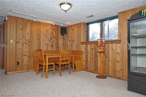 2880 Narrows Rd, Perry, OH 44081 photo 18