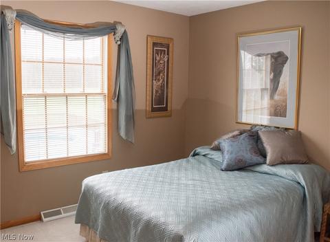 42049 Biggs Rd, Lagrange, OH 44050 photo 12