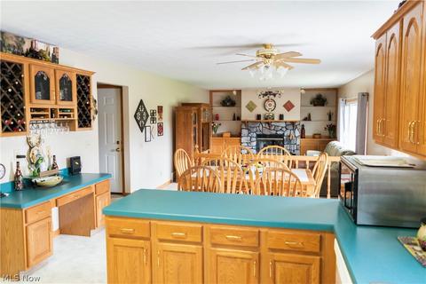 42049 Biggs Rd, Lagrange, OH 44050 photo 5