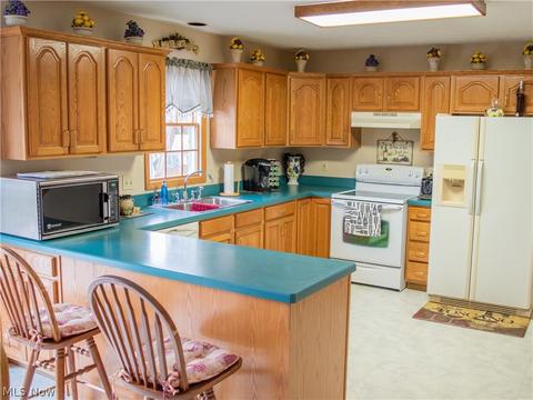 42049 Biggs Rd, Lagrange, OH 44050 photo 6