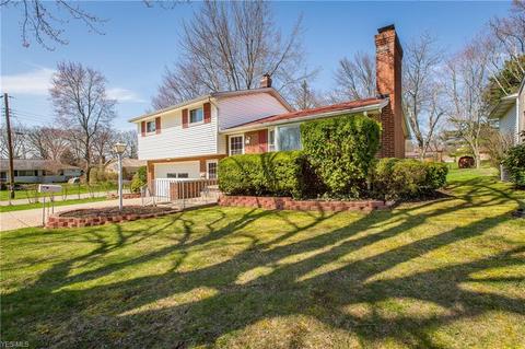4895 3rd St NW, Canton, OH 44708 photo 16
