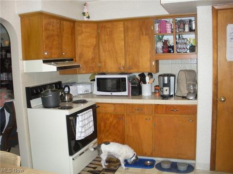 6326 Murray Ave, Ashtabula, OH 44004 photo 4