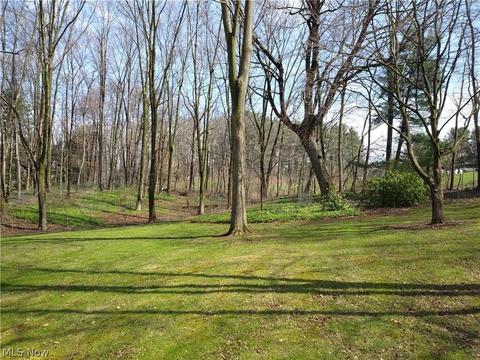 6410 Chesham Ave NE, Canton, OH 44721 photo 23