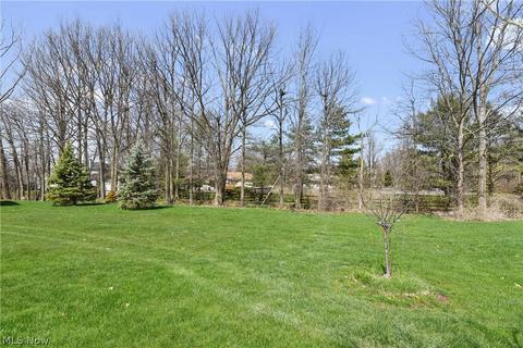 4248 Turtleback Cv, Avon, OH 44011 photo 31