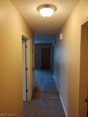 343 Warden Ave, Elyria, OH 44035 photo 10