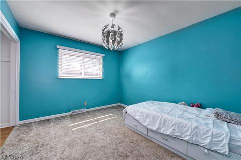 6819 Brookside Rd, Independence, OH 44131 photo 22