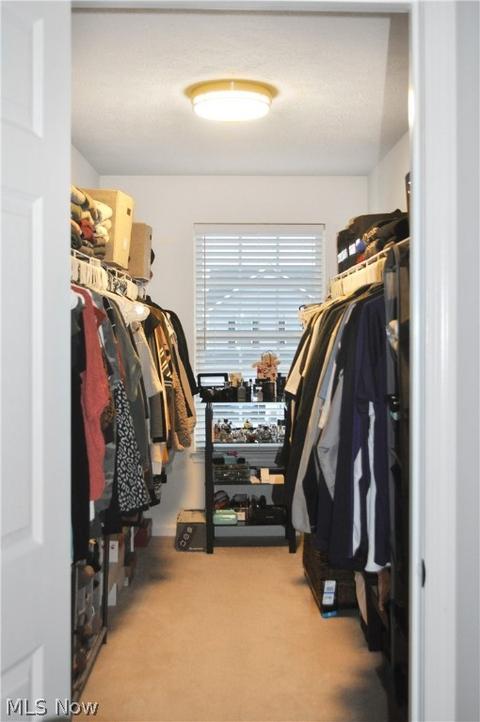 6499 Pine Bluff Ave NE, Canton, OH 44721 photo 27