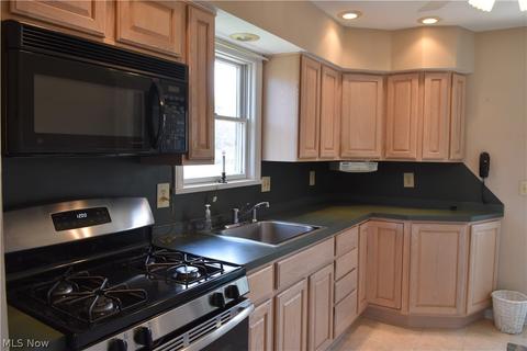 11046 Middle Ave, Elyria, OH 44035 photo 9