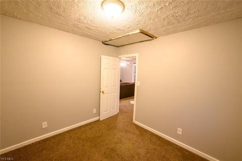8313 Depot Rd, Saybrook, OH 44004 photo 12