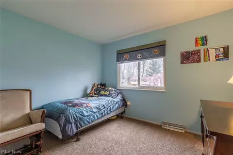 6161 Brambleside Ln, Mentor, OH 44060 photo 20