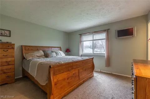 6161 Brambleside Ln, Mentor, OH 44060 photo 21
