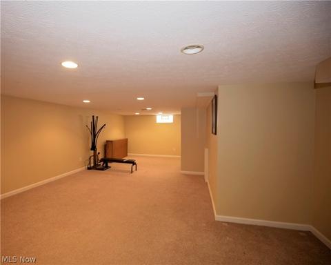 9939 E River Rd, Elyria, OH 44035 photo 28