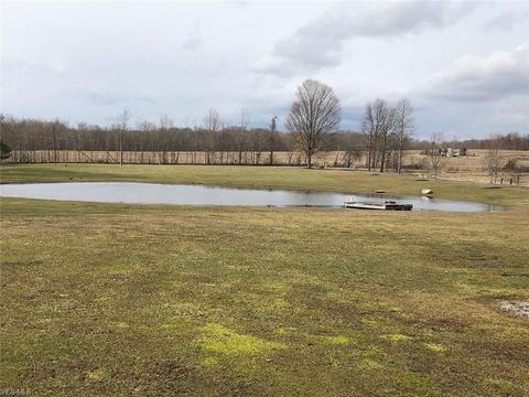 8820 Wadsworth Rd, Windham, OH 44288 photo 7