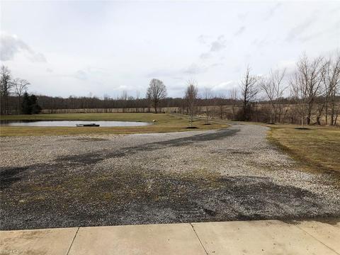 8820 Wadsworth Rd, Windham, OH 44288 photo 8