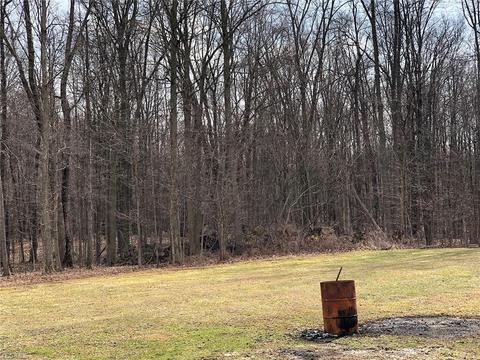 8820 Wadsworth Rd, Windham, OH 44288 photo 10