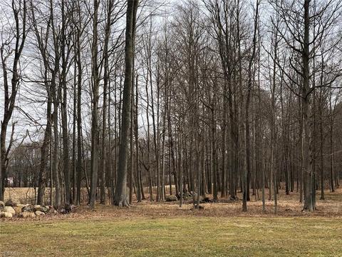 8820 Wadsworth Rd, Windham, OH 44288 photo 11