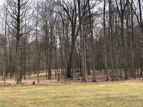8820 Wadsworth Rd, Windham, OH 44288 photo 9
