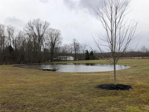 8820 Wadsworth Rd, Windham, OH 44288 photo 6