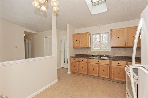 16245 Burrows Rd, Thompson, OH 44086 photo 9