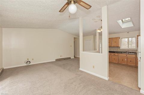 16245 Burrows Rd, Thompson, OH 44086 photo 8