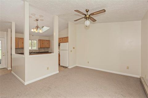 16245 Burrows Rd, Thompson, OH 44086 photo 7