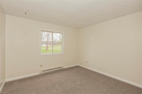 16245 Burrows Rd, Thompson, OH 44086 photo 16