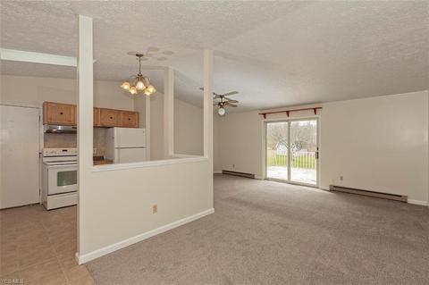 16245 Burrows Rd, Thompson, OH 44086 photo 3