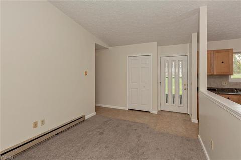 16245 Burrows Rd, Thompson, OH 44086 photo 5