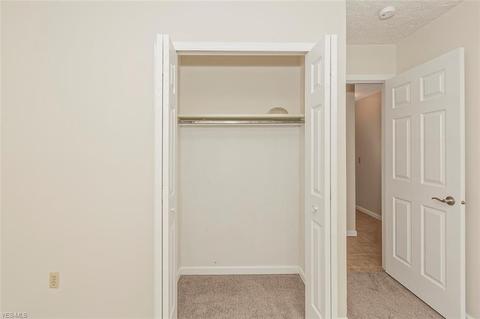 16245 Burrows Rd, Thompson, OH 44086 photo 18