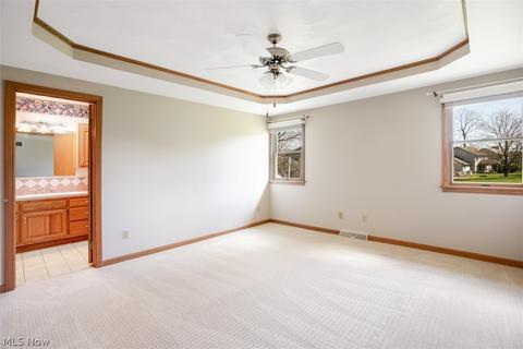 313 Deer Creek Dr, Struthers, OH 44471 photo 28