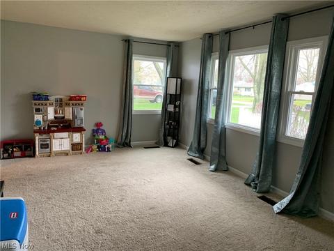 962 N Pasadena Ave, Elyria, OH 44035 photo 18