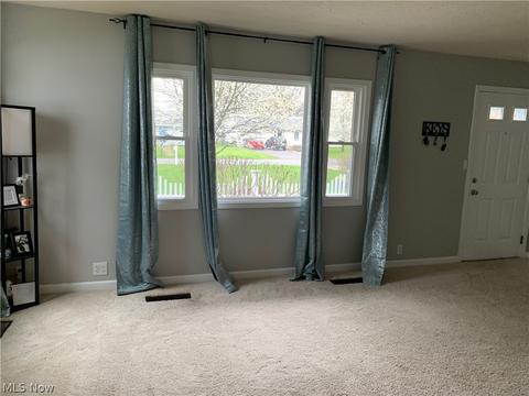 962 N Pasadena Ave, Elyria, OH 44035 photo 19