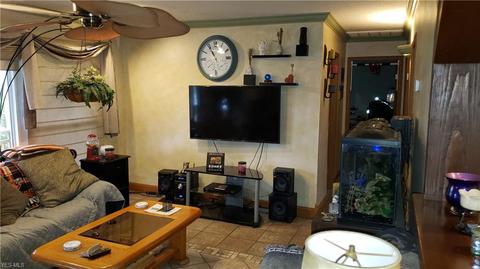 225 Forest St, Lagrange, OH 44050 photo 7