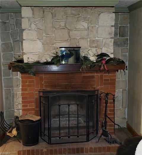225 Forest St, Lagrange, OH 44050 photo 8