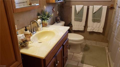 225 Forest St, Lagrange, OH 44050 photo 10
