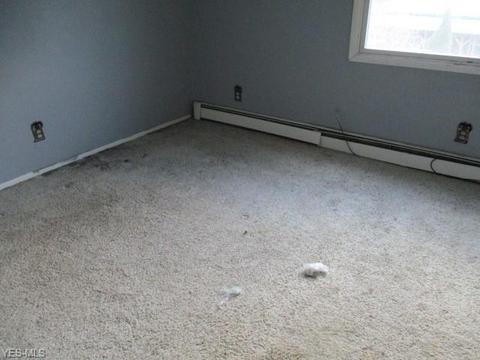 5266 Ledge Rd, Madison, OH 44057 photo 7