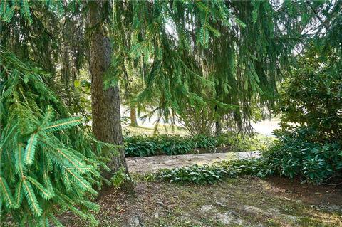 2863 Kendall Rd, Copley, OH 44321 photo 11