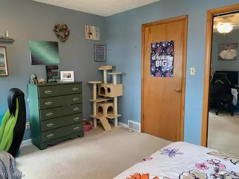 4401 Diane Dr, Ashtabula, OH 44004 photo 10