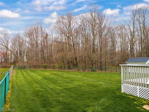 176 Patrick John Dr, Wadsworth, OH 44281 photo 25