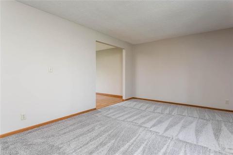 42635 Griswold Rd, Elyria, OH 44035 photo 4