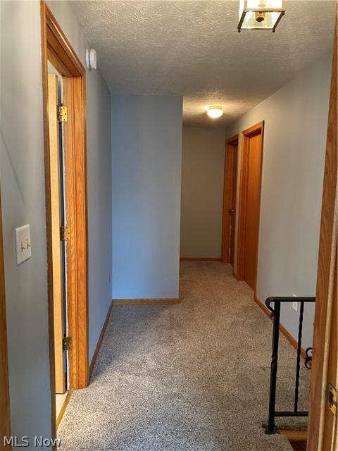 316 Windfall Ln, Wadsworth, OH 44281 photo 22