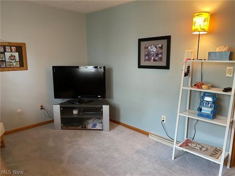 316 Windfall Ln, Wadsworth, OH 44281 photo 29