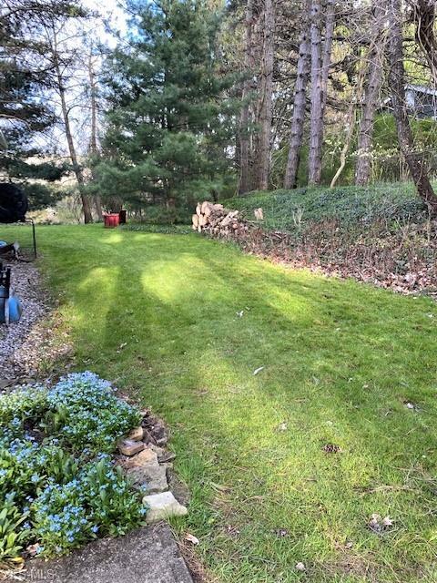 5785 Brookside Rd, Independence, OH 44131 photo 28