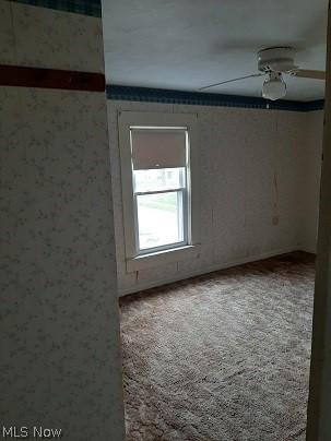 58 Creed St, Struthers, OH 44471 photo 15