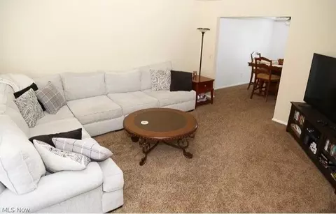 5909 Oak Point Rd, Lorain, OH 44053 photo 4