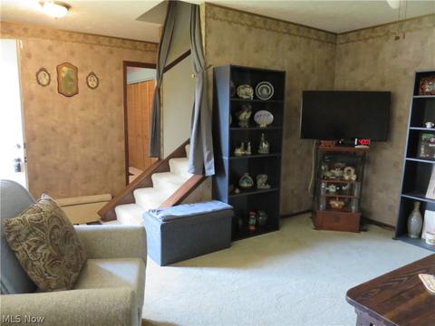 484 Carol Ln, Elyria, OH 44035 photo 6