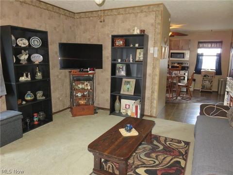 484 Carol Ln, Elyria, OH 44035 photo 5