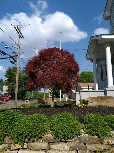 409 E Line St, Minerva, OH 44657 photo 19