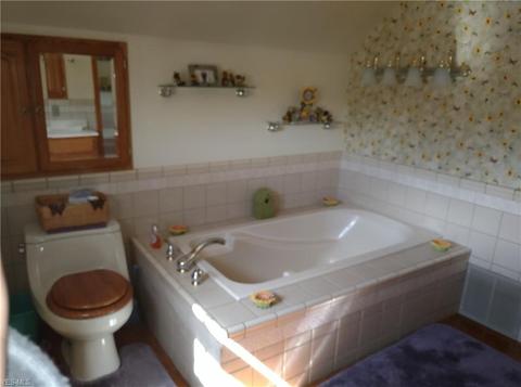 409 E Line St, Minerva, OH 44657 photo 14
